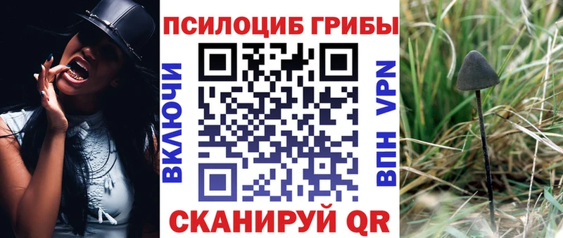 Галлюциногенные грибы MAGIC MUSHROOMS  дарнет шоп  Йошкар-Ола 
